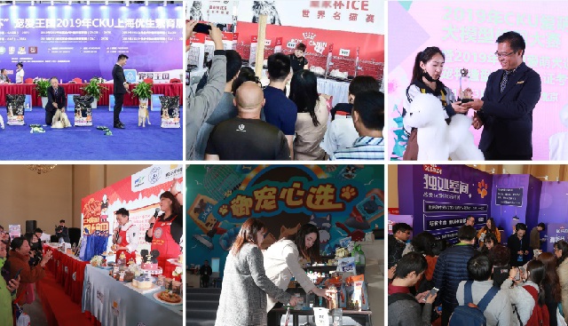 深圳華南寵物用品展覽會PetFair South China(m.69836.cn)