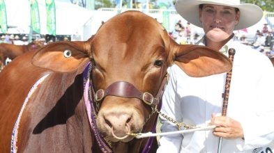 2021澳大利亞牛肉產業及肉類加工展覽會舉辦時間Beef Australia(m.69836.cn)