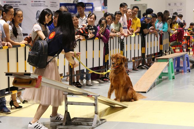 2020廣西寵物博覽會將于11月6日舉辦 展位即將售罄(m.69836.cn)