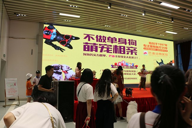 2020廣西寵物博覽會將于11月6日舉辦 展位即將售罄(m.69836.cn)