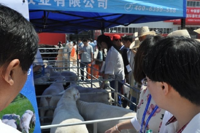 中國畜牧業博覽會CAHE(m.69836.cn)