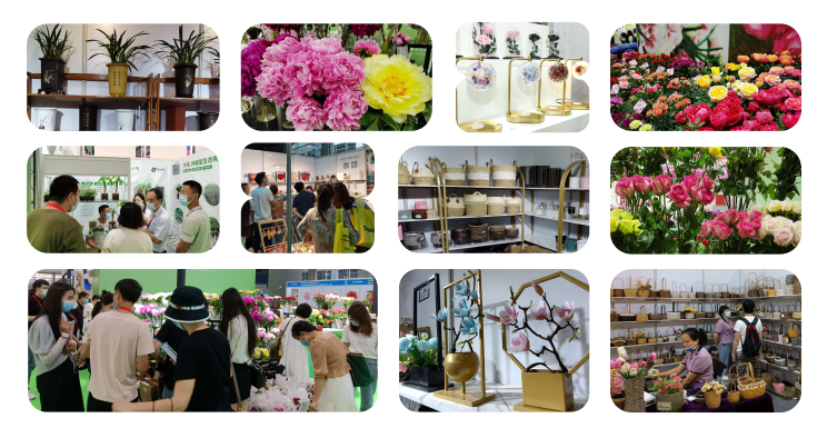 2022廣州鮮花植物博覽會(m.69836.cn)