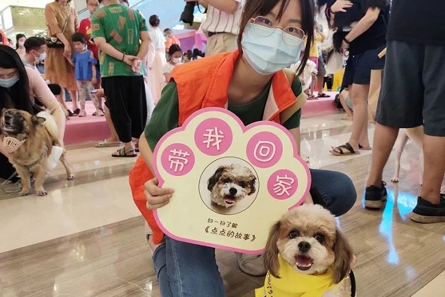 重慶國際寵物展覽會CPAE(m.69836.cn)
