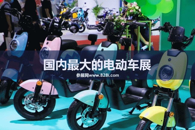 國(guó)內(nèi)最大的電動(dòng)車展會(huì)