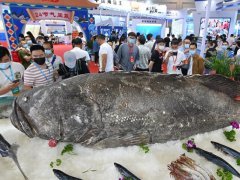 2023福州漁業展（福州漁博會）將于6月舉行