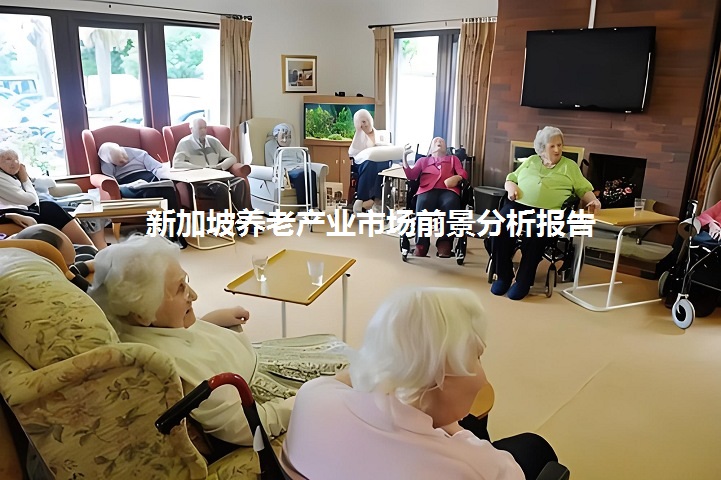 新加坡養(yǎng)老產(chǎn)業(yè)市場前景分析報告：康復(fù)器械和老年護理用品市場大(m.69836.cn)