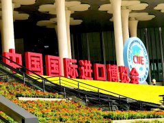 進(jìn)博會(huì)門票攻略:上海進(jìn)博會(huì)2024門票的價(jià)格和購買渠道